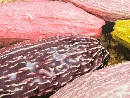 Veronica Ryan: Coco Beans