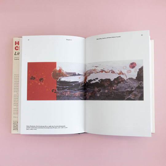 Helen Chadwick : Life Pleasures