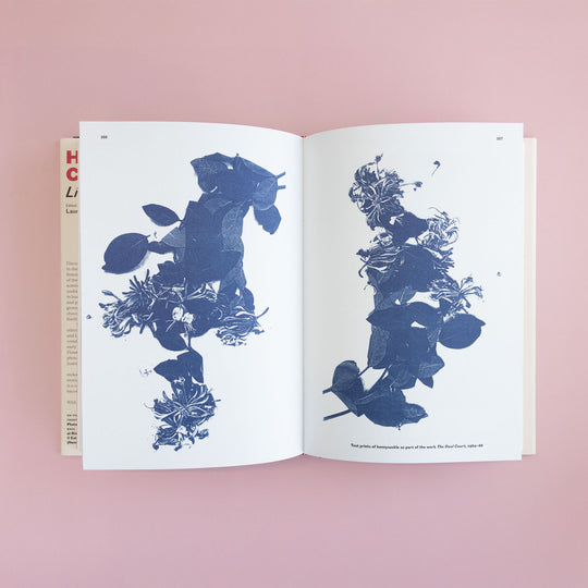 Helen Chadwick : Life Pleasures