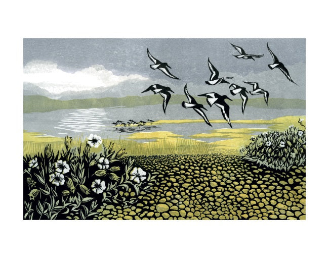 Blakeney Oyster Catchers Card