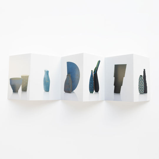 Elizabeth Fritsch Concertina Postcard