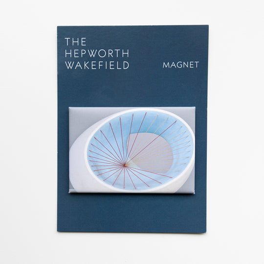 Detail of Sculpture with Colour Magnet