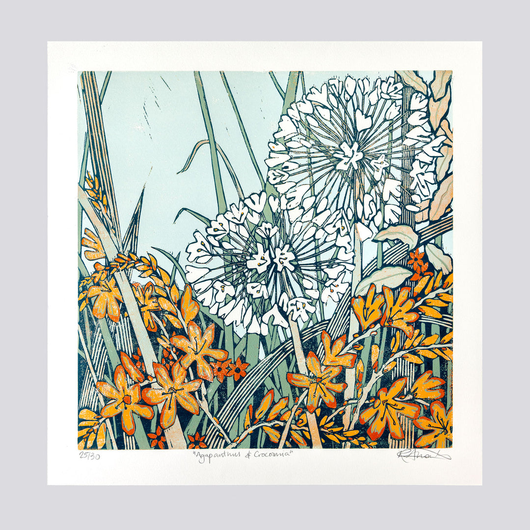 Agapanthus and Crocosmia by Rachel Knowles