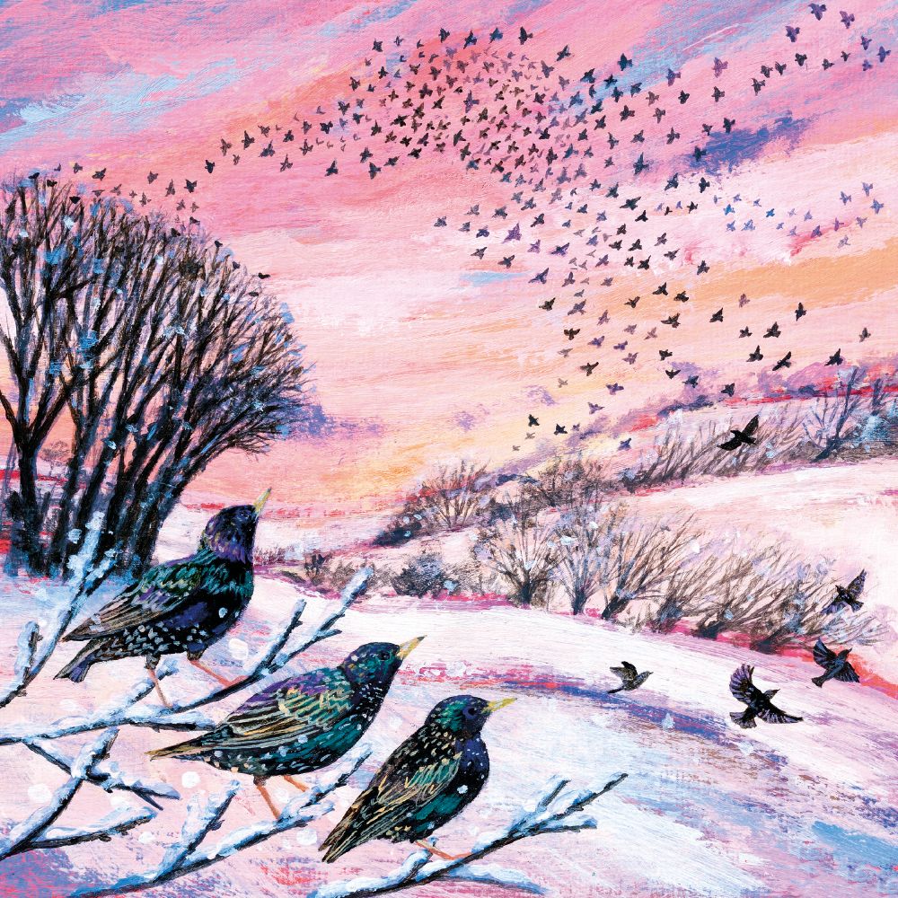 Winter Murmarations Christmas Card Pack