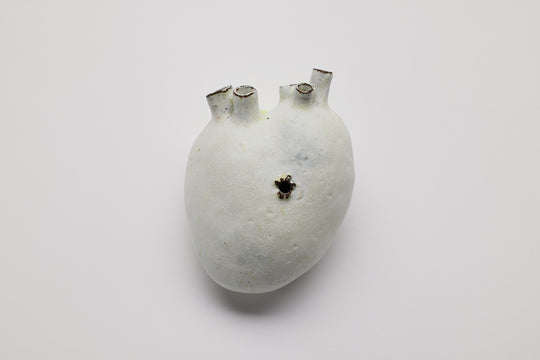 Akiko Hirai: Punctured Heart