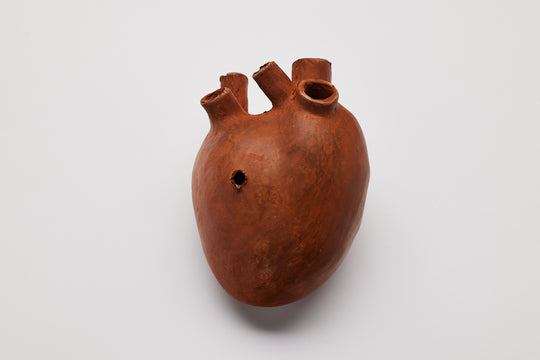 Akiko Hirai: Punctured Heart