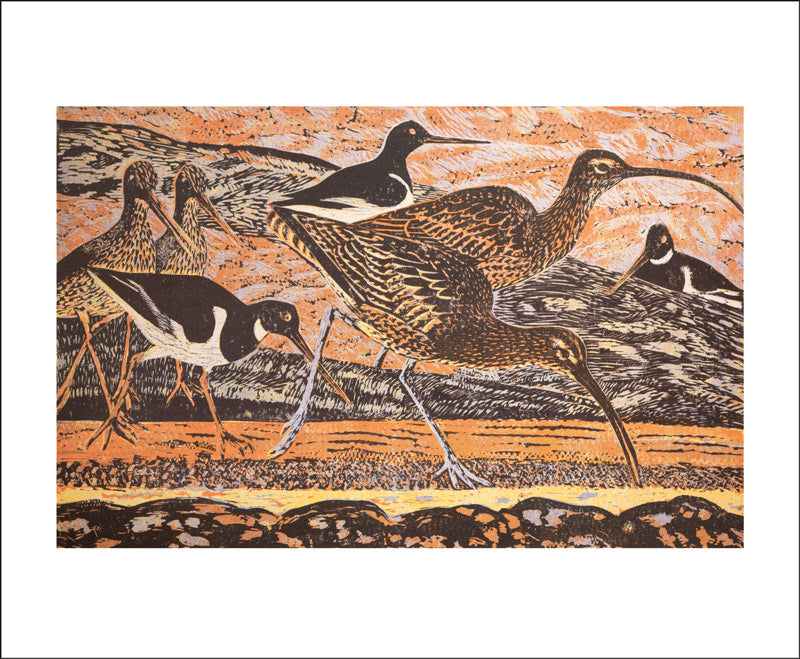 Curlews & Oystercatchers Greetings Cards