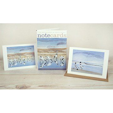 Time & Tide Notecard Set