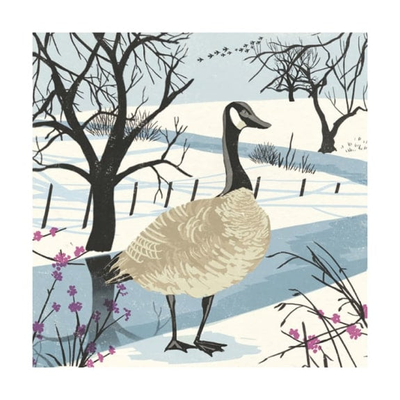 Snow Goose Christmas Card Set