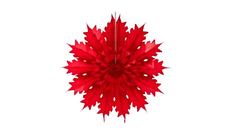 Paper Snowflake - Red