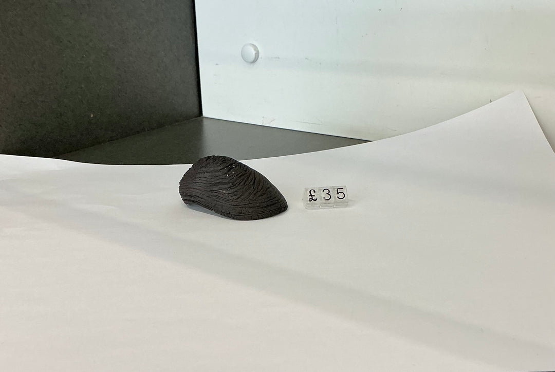 Mussel Form by Zivarna Murphy