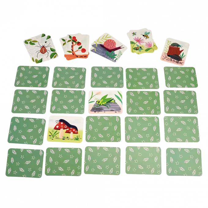 Memory Game - Wonders of Nature