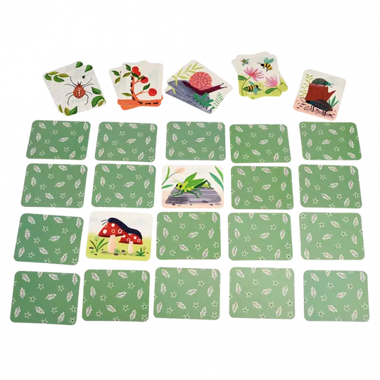 Memory Game - Wonders of Nature