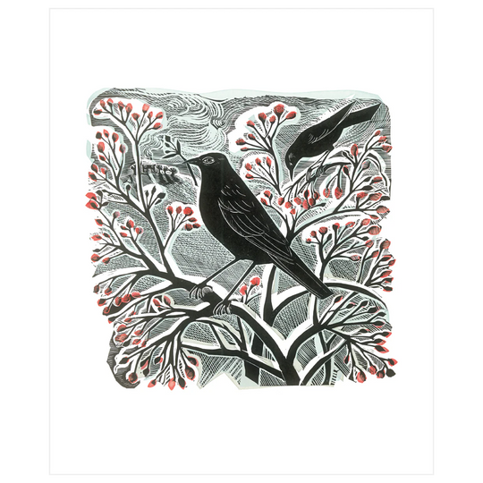 Blackbird & Berries Greetings Card