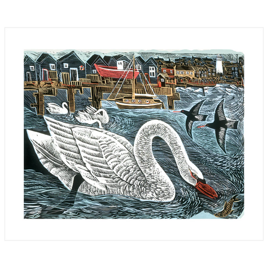Southwold Swan Greetings Card