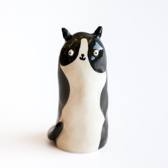 Black and White Cat by Alex Sickling