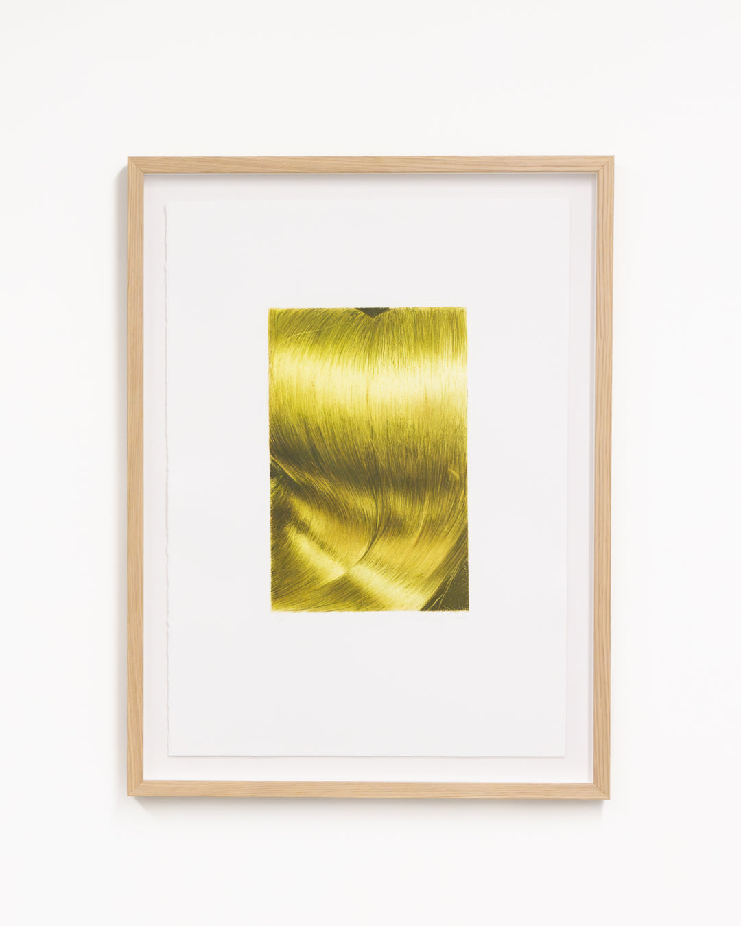 Louise Giovanelli: Plexus