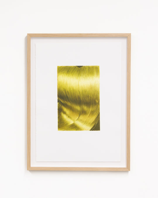 Louise Giovanelli: Plexus