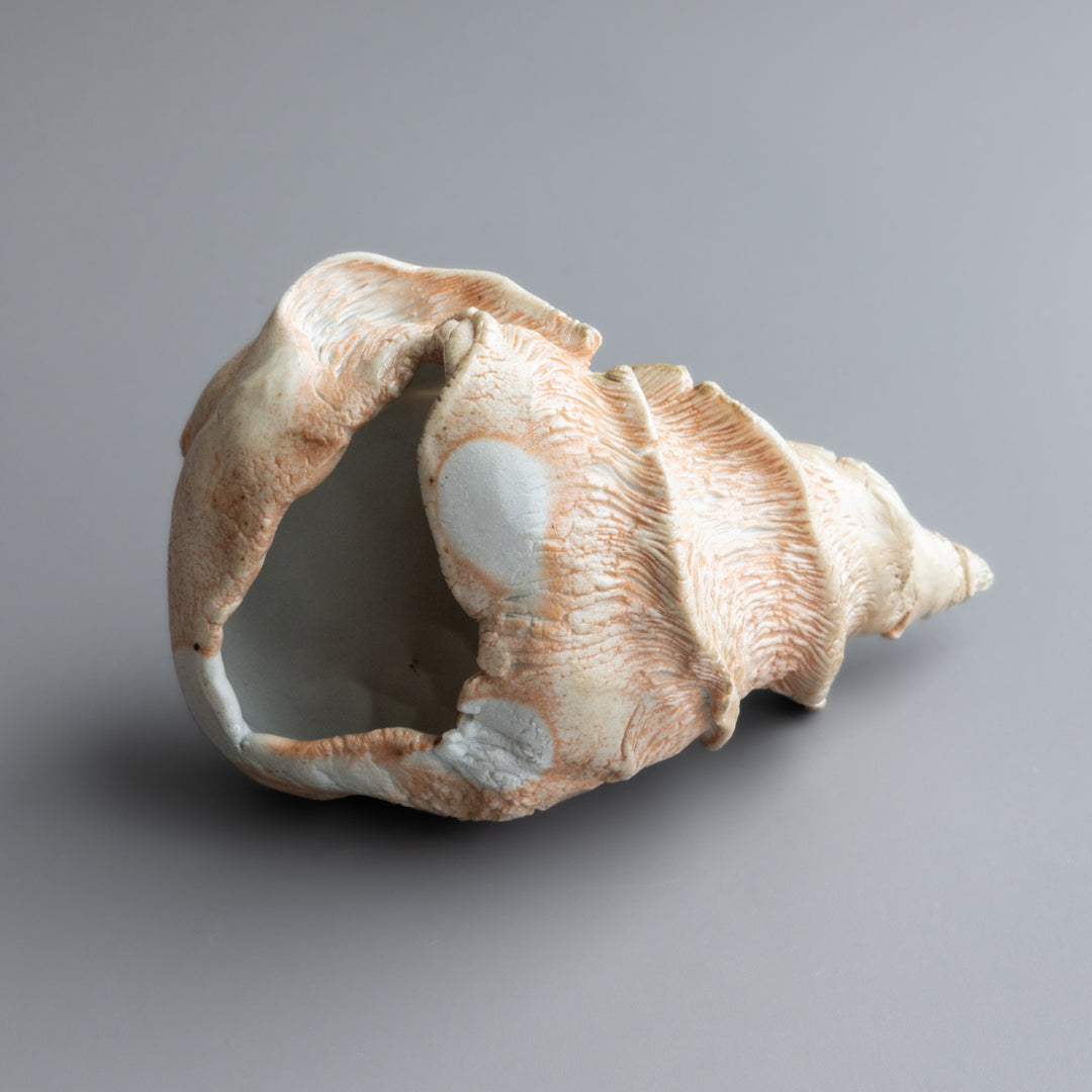 Spiral Shell Form by Zivarna Murphy