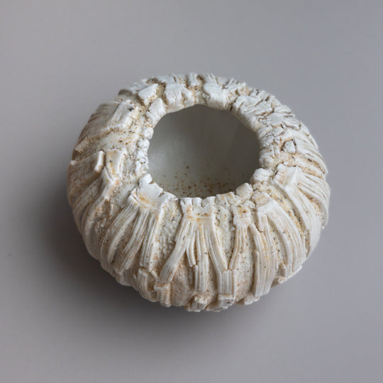 Urchin Vessel II by Zivarna Murphy