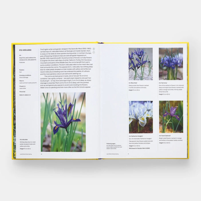 A Year in Bloom Phaidon