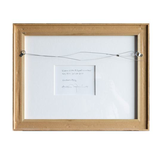 Anthony McCall: Room With Altered Window, framed edition
