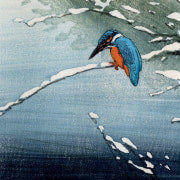 Winter Bird Prints Christmas Card Pack