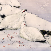 Winter Bird Prints Christmas Card Pack