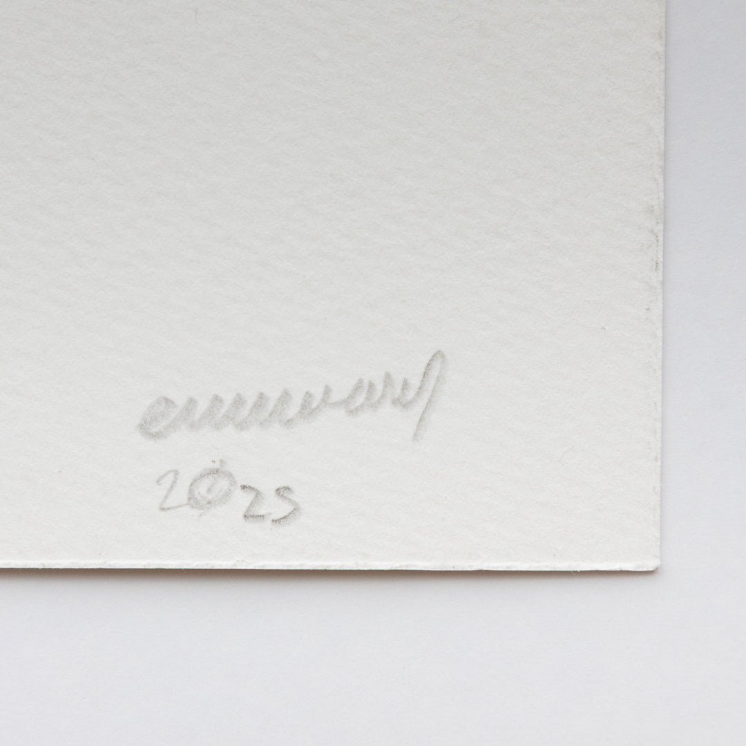 Emma Prempeh: The Softness of Late Bloom, 2025