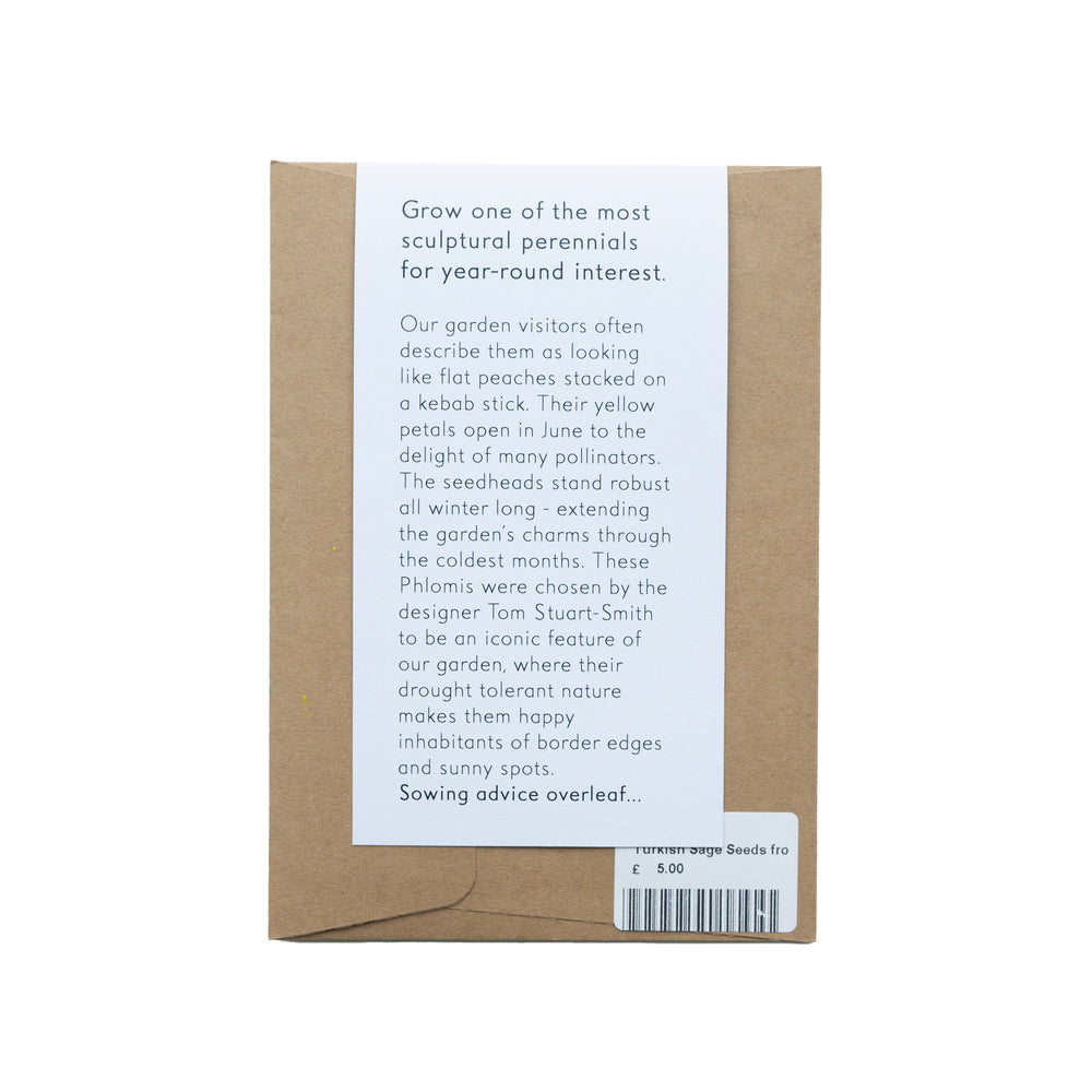 Turkish Sage Seeds from Hepworth Wakefield Garden
