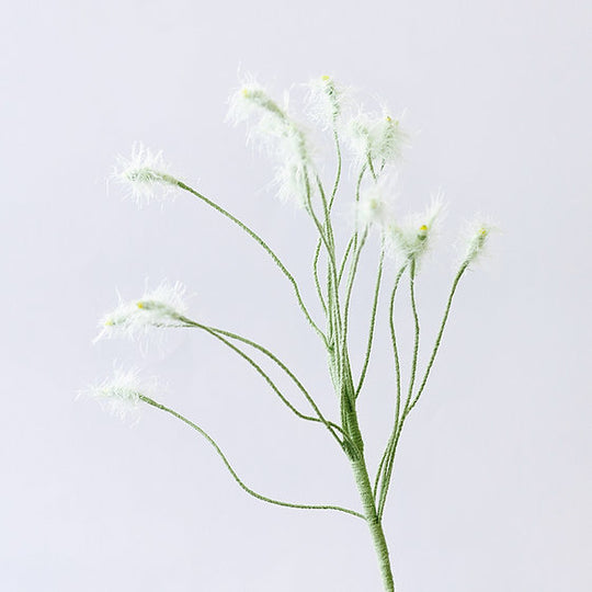 Pennisetum Orientale Crochet Flower