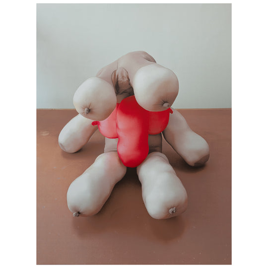 Sarah Lucas: Tit Teddy, 2026