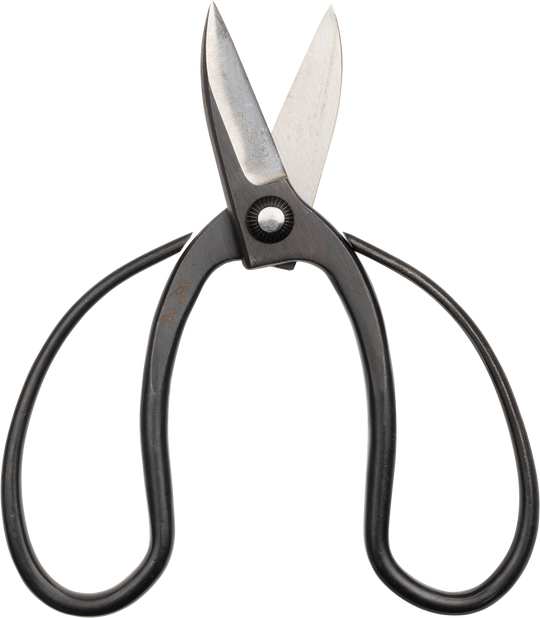 Sentei Garden Scissors