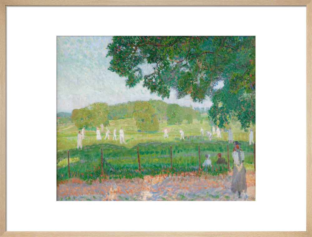 The Cricket Match