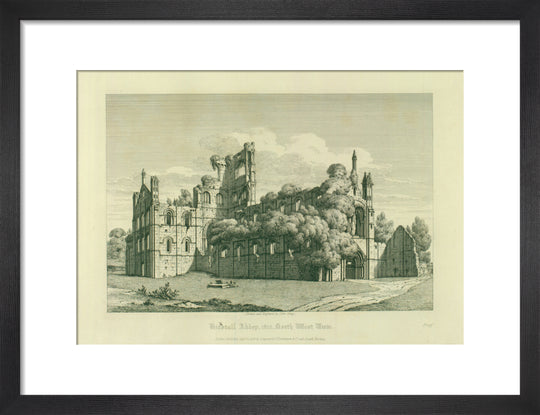 Kirkstall Abbey (North West View)