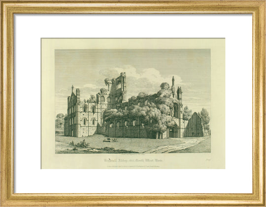 Kirkstall Abbey (North West View)