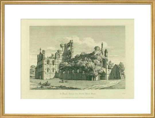 Kirkstall Abbey (North West View)