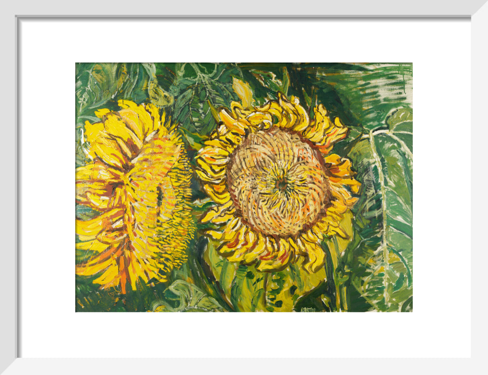 John Randall Bratby, Sunflowers, 1969