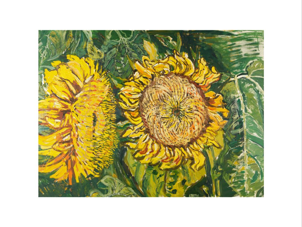 John Randall Bratby, Sunflowers, 1969