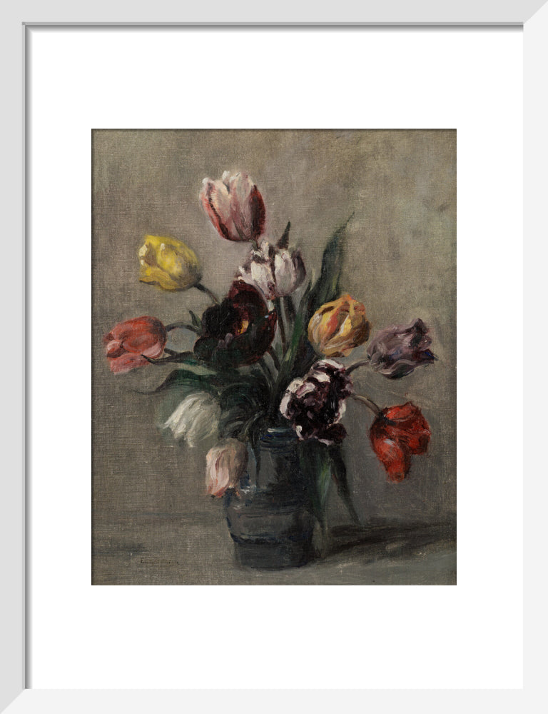 Emily Murray Paterson, Tulips