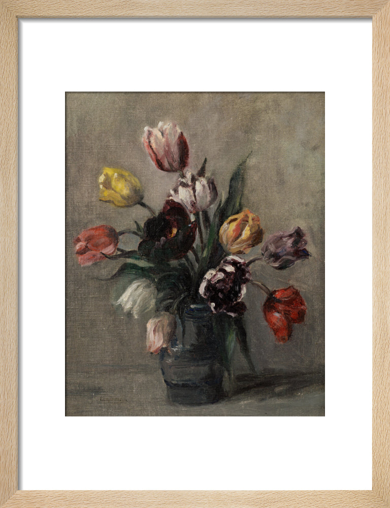 Emily Murray Paterson, Tulips