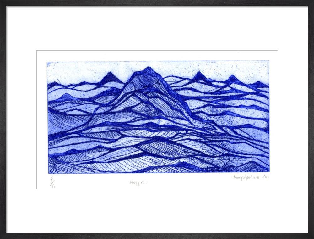 Mary Wykeham, Hoggar (blue), 1991