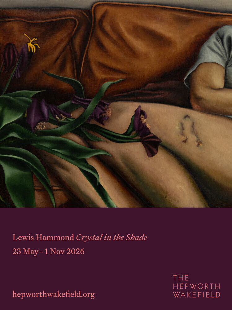 Lewis Hammond: Crystal in the Shade poster