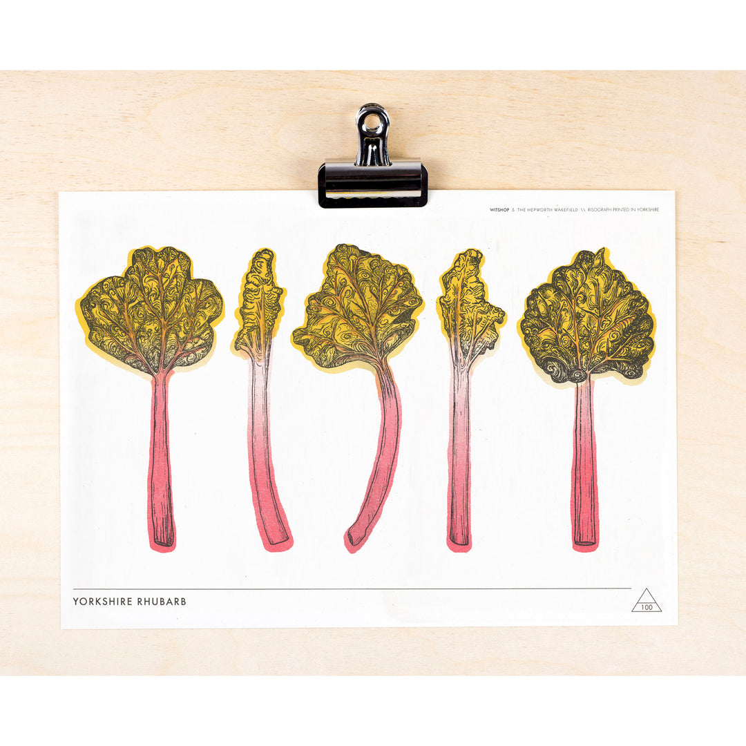 Yorkshire Rhubarb Print