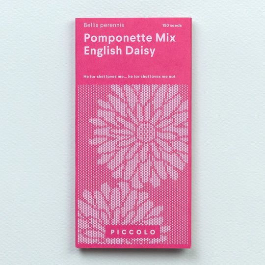 English Daisy Momponette Mix Seeds
