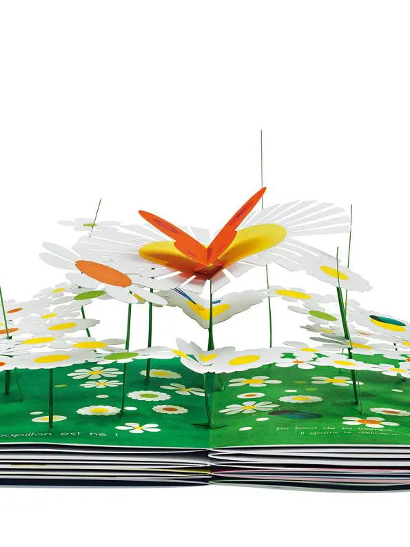 In The Butterfly Garden Pop Up Book