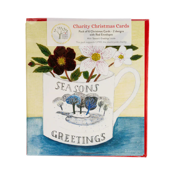 Seasons Greetings & Snowdrops in Jug Card Pack