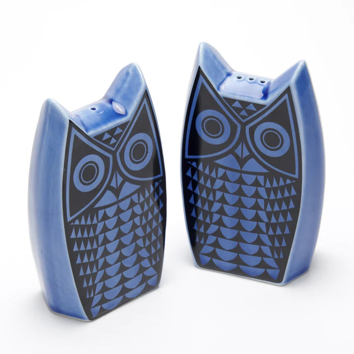 Hornsea Owl Cruet Set- Blue