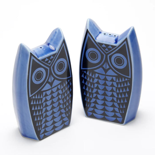 Hornsea Owl Cruet Set- Blue