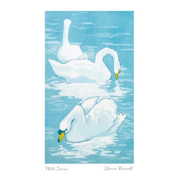 Mute Swans Greetings Card